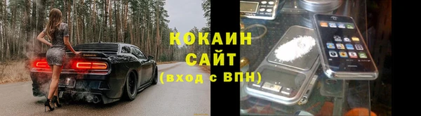 дживик Балахна