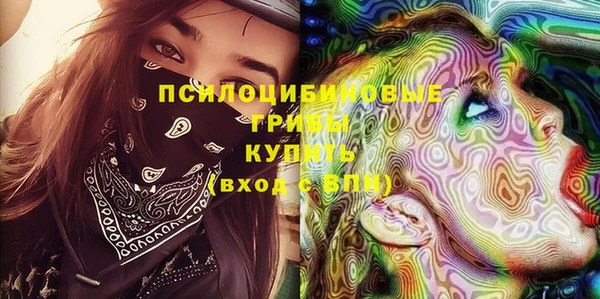 стаф Баксан
